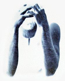 paradiso_artificiale