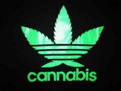 cannabis