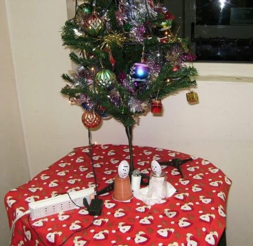 Il presepe dello zac